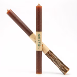 Cedarwood Forest Candle